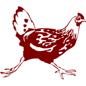 Chicken Avatar Chicken Avatar